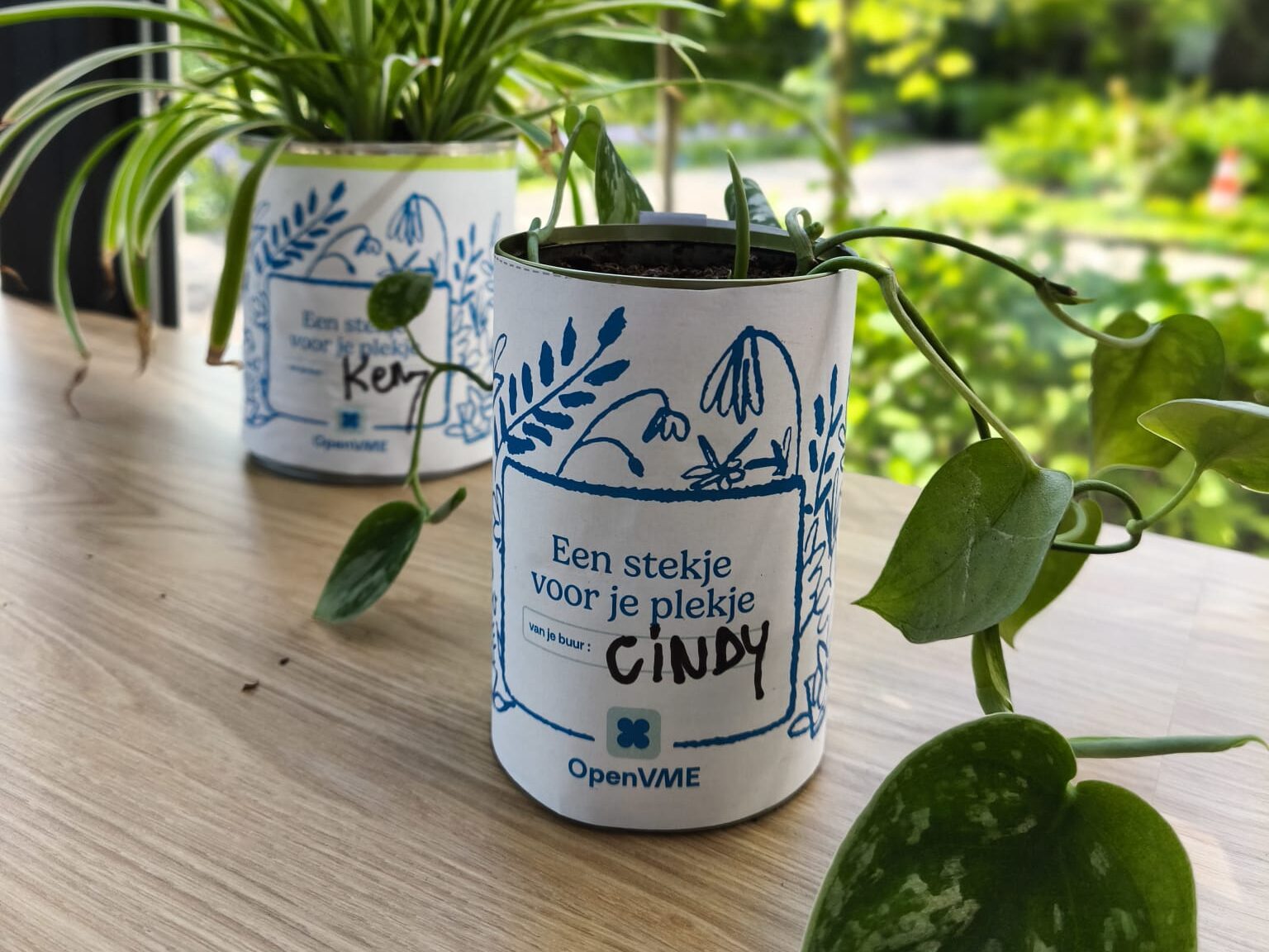 Een stekje voor je&nbsp;plekje🌱